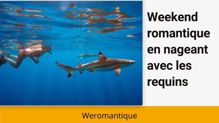 Passer un weekend romantique en nageant avec les requins , osez vous ?