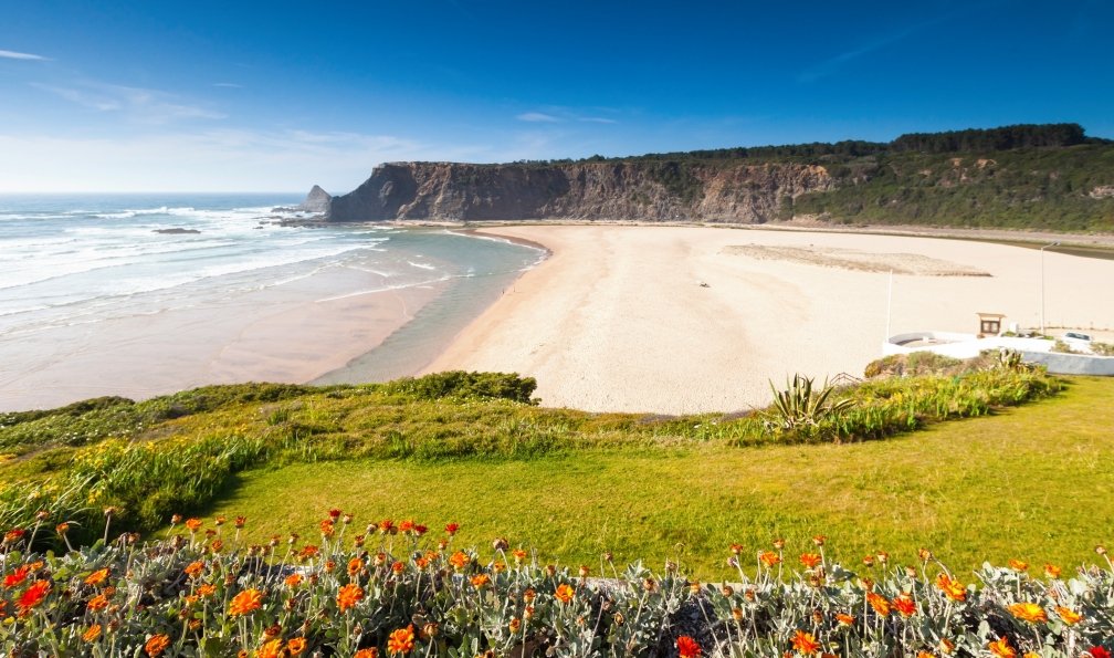 Fleurs sauvages dans l'Alentejo