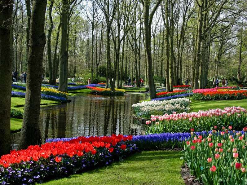 Les jardins de tulipes de Keukenhof