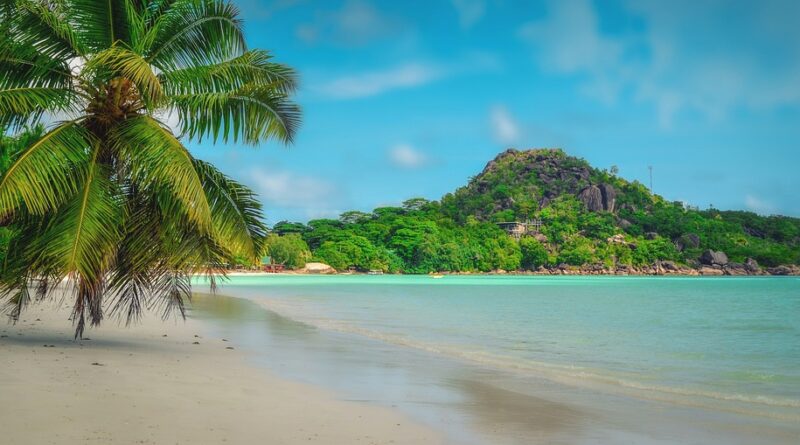 Pourquoi les Seychelles deviennent la première destination de lune de miel en 2023