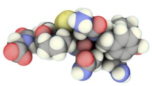 hormone de l'amour