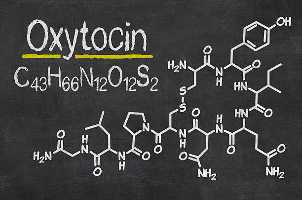 Qu'est-ce que l'ocytocine ?
