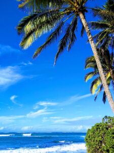 Choses romantiques à faire à Oahu pour les couples