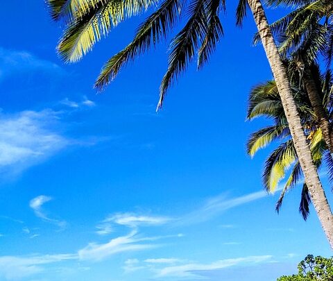Choses romantiques à faire à Oahu pour les couples